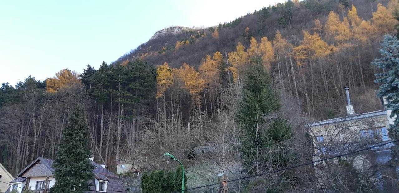 Brasov Valley Braşov Exterior foto